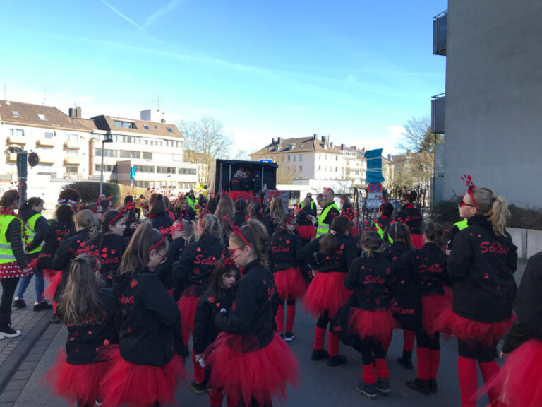 Rosenmontagszug 2025